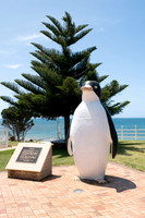2019-11-24 Penguin TAS to Sister's Beach