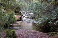 2025-03-16 Junee Cave Tasmania