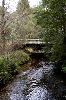 2025-03-17 Nelson Falls Tasmania