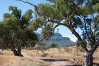 -2014-03-20 Wilpena Pound SA