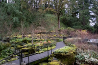 2025-02-08 Japanese Gardens Portland OR