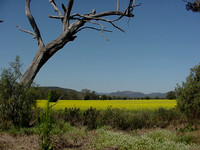 -2000-09-20 Tenterfield trip