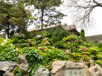 2018-04 Summer Palace, Beijing