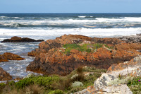2019-11-28 The Ocean & Boat Ride at the Arthur River TAS