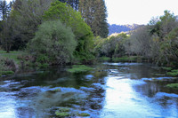 2011-10 Hanurama Springs Nature Reserve, Rotarua NZ