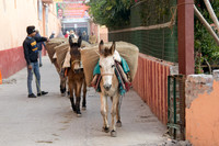 2018-01 Haridwar Visit