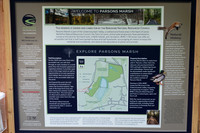 2019-07 Parsons Marsh, Massachusetts
