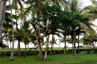 2015-06 Crows Nest Resort, Korotogo