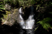 2025-03-19 Hogarth Falls Tasmania
