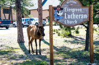 -2014-08 Evergreen, CO